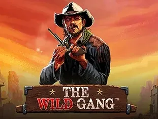 The Wild Gang game cover